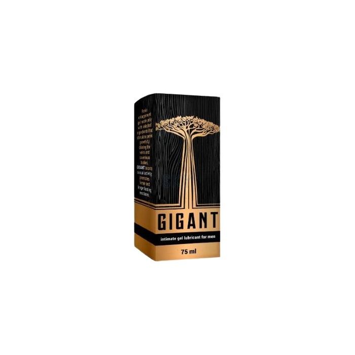 Gigant ➜ 