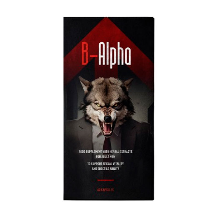 B-Alpha ➜ in Legnica