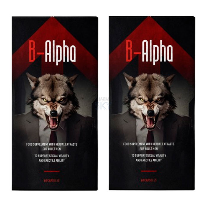 B-Alpha ➜ in Legnica